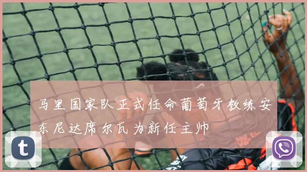 马里国家队正式任命葡萄牙教练安东尼达席尔瓦为新任主帅