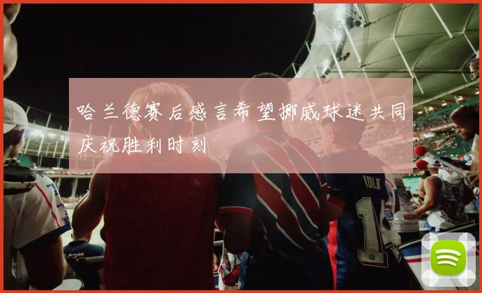 哈兰德赛后感言希望挪威球迷共同庆祝胜利时刻