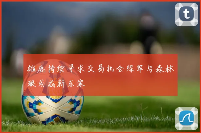 雄鹿持续寻求交易机会绿军与森林狼或成新东家