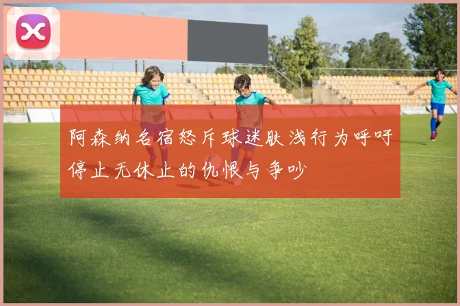 阿森纳名宿怒斥球迷肤浅行为呼吁停止无休止的仇恨与争吵
